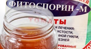 Jak zpracovat okurky na nemoci lidovými léky